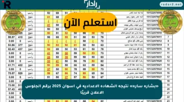 «بشارة سارة» نتيجة الشهادة الإعدادية في أسوان 2025 برقم الجلوس الإعلان قريبًا